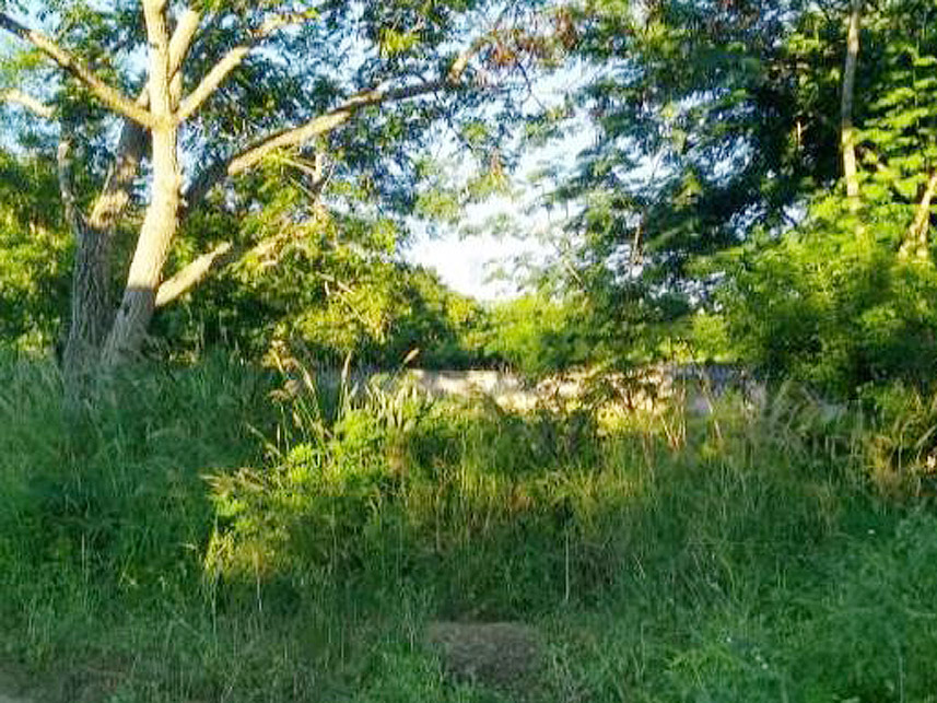 Imagem 2 do Leilão de Terreno - Vila Nery - Itapetinga/BA