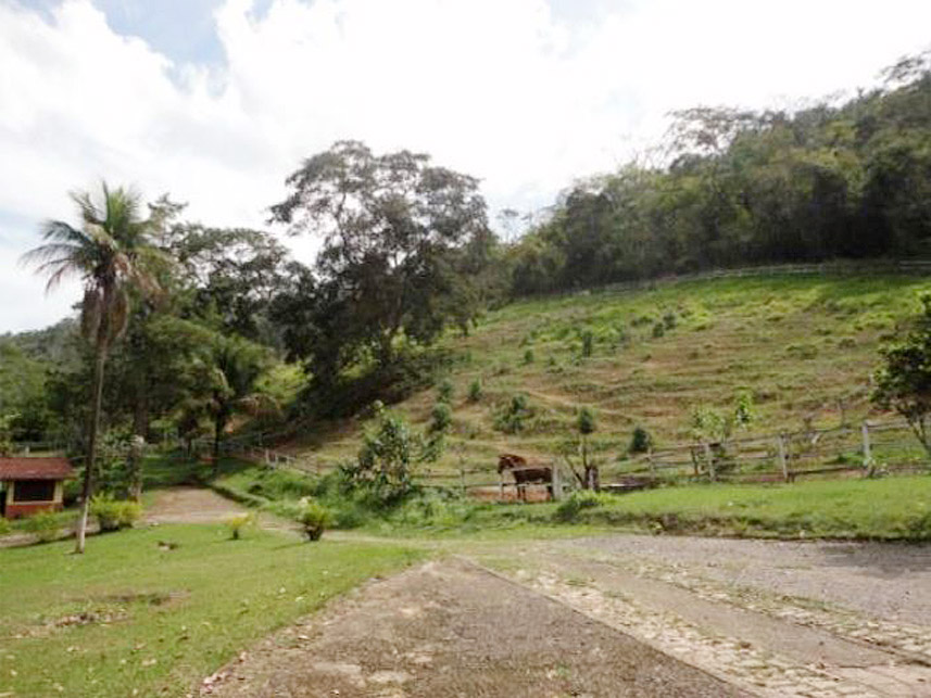 Imagem 4 do Leilão de Área Rural - Bairro Gulf - Comendador Levy Gasparian/RJ