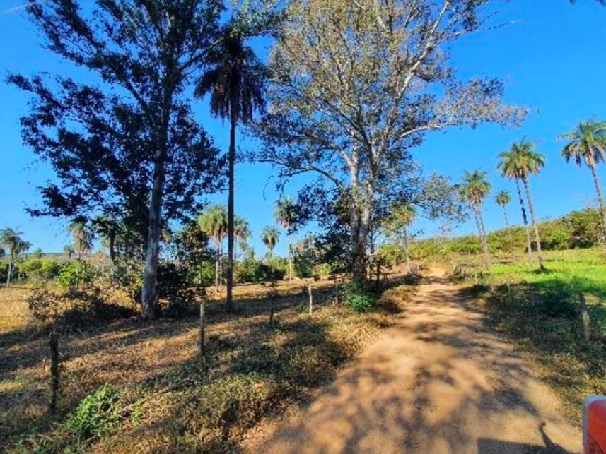 Imagem 9 do Leilão de Fazenda - Fazenda Campo Alegra - Jaboticatubas/MG