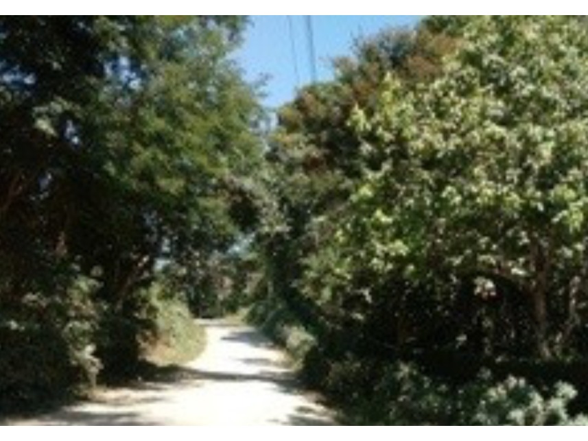 Imagem 3 do Leilão de Chácara - Chácaras Boa Vista - Santa Isabel/SP