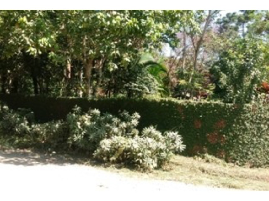 Imagem 2 do Leilão de Chácara - Chácaras Boa Vista - Santa Isabel/SP