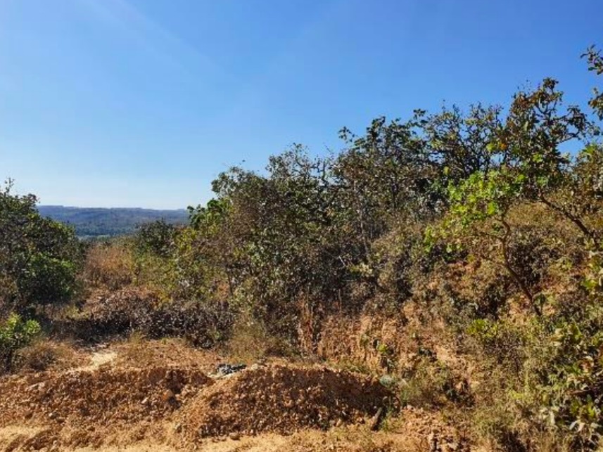 Imagem 3 do Leilão de Fazenda - Fazenda Campo Alegra - Jaboticatubas/MG