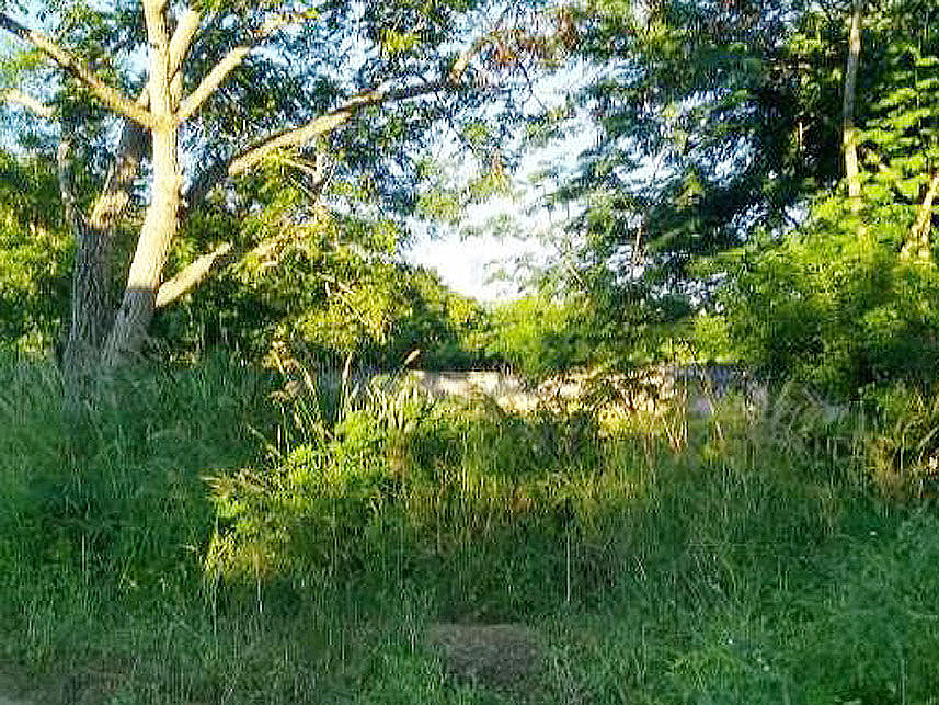 Imagem 2 do Leilão de Terreno - Vila Nery - Itapetinga/BA