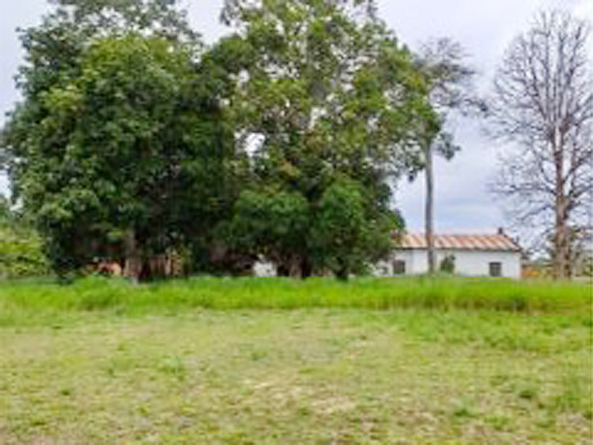Imagem 3 do Leilão de Terreno - Nossa Senhora das Graças - Cruzeiro do Sul/AC