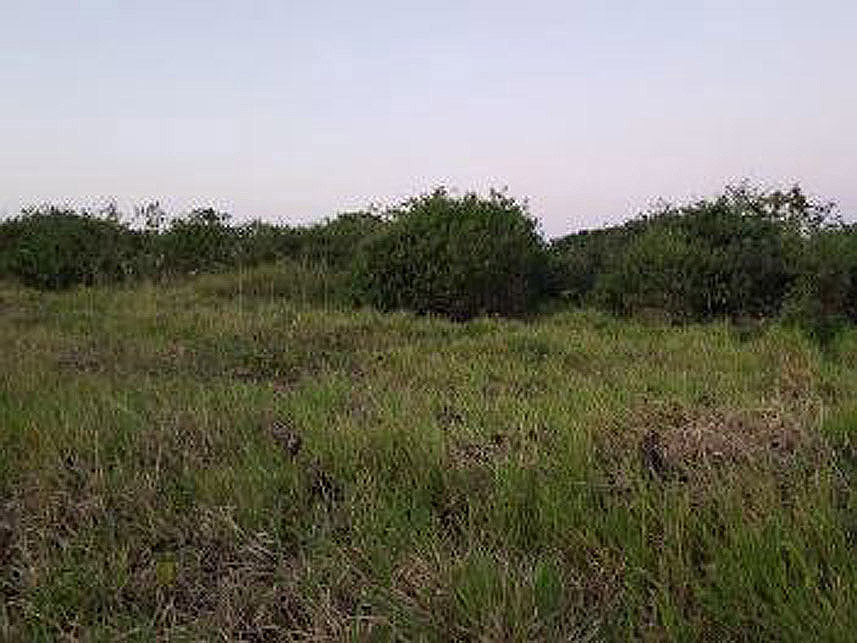 Imagem 1 do Leilão de Terreno - Barro Santa Amélia - Maceió/AL