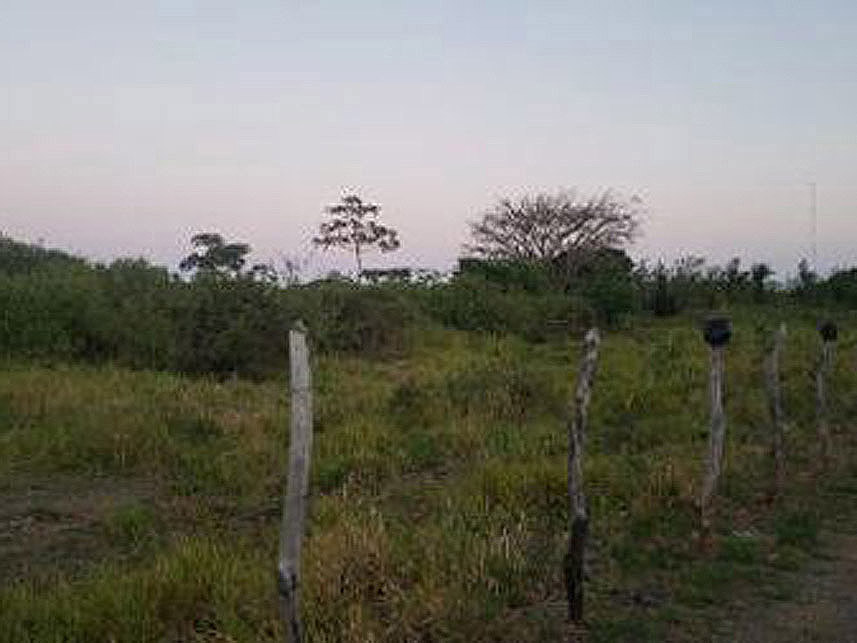 Imagem 3 do Leilão de Terreno - Barro Santa Amélia - Maceió/AL