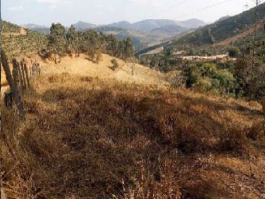 Imagem 7 do Leilão de Área Rural - Zona Rural - Santa Margarida/MG