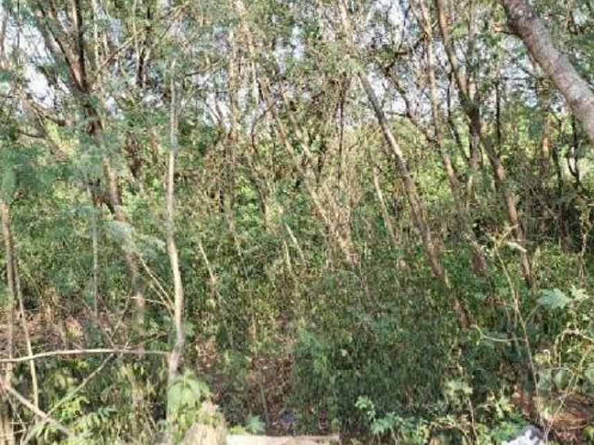 Imagem 4 do Leilão de Terreno - Vila Barcelona - Sorocaba/SP