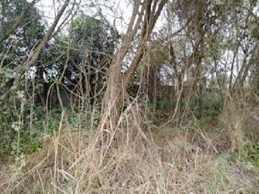 Imagem 1 do Leilão de Terreno - Vila Paraíso - Cacapava/SP