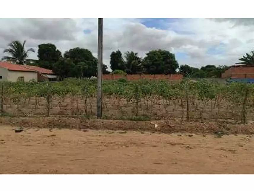 Imagem 4 do Leilão de Área Rural - Povoado Capim - Arapiraca/AL