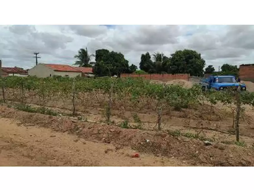 Imagem 5 do Leilão de Área Rural - Povoado Capim - Arapiraca/AL