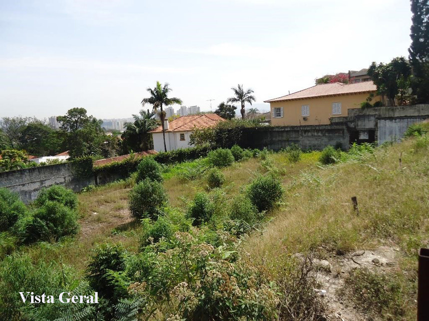 Imagem 3 do Leilão de Terrenos - Alto da Lapa - São Paulo/SP