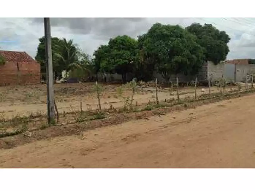 Imagem 2 do Leilão de Área Rural - Povoado Capim - Arapiraca/AL