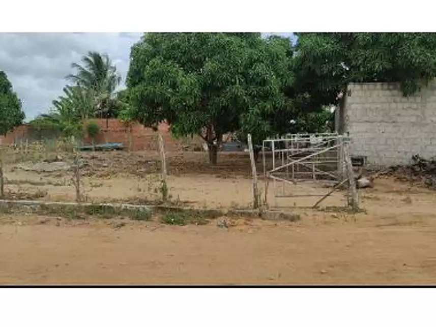 Imagem 6 do Leilão de Área Rural - Povoado Capim - Arapiraca/AL