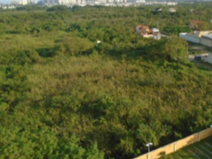Imagem 5 do Leilão de Terreno - Recreio dos Bandeirantes - Rio de Janeiro/RJ