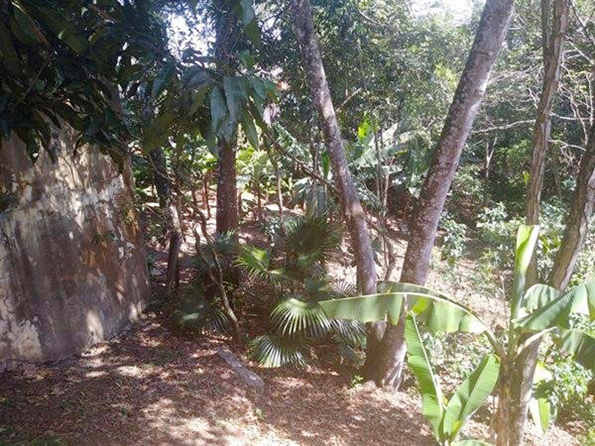 Imagem 4 do Leilão de Casa - Arujázinho Iv - Arujá/SP