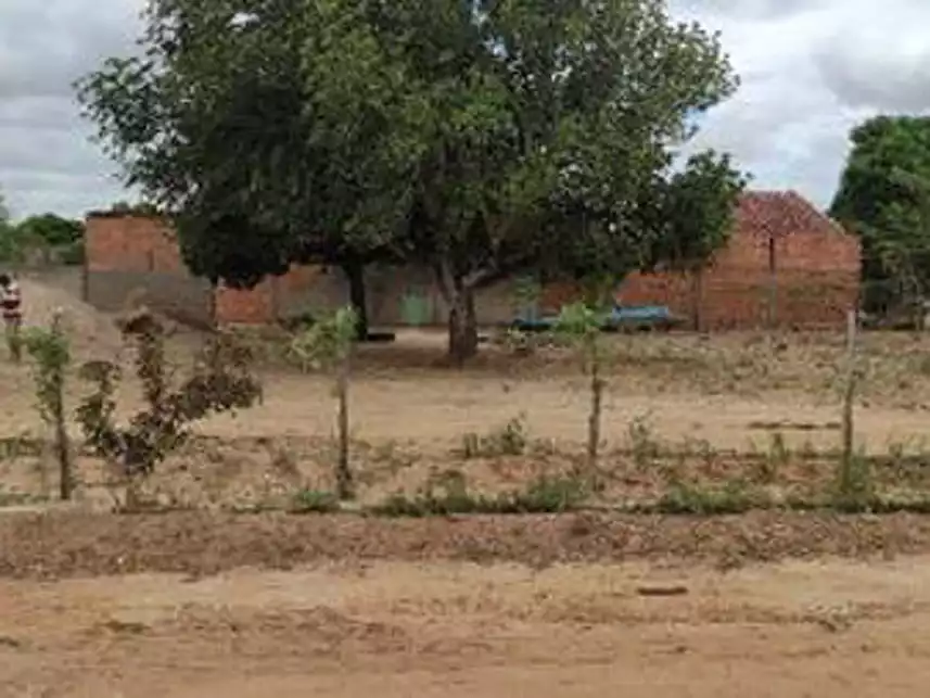 Imagem 1 do Leilão de Área Rural - Povoado Capim - Arapiraca/AL