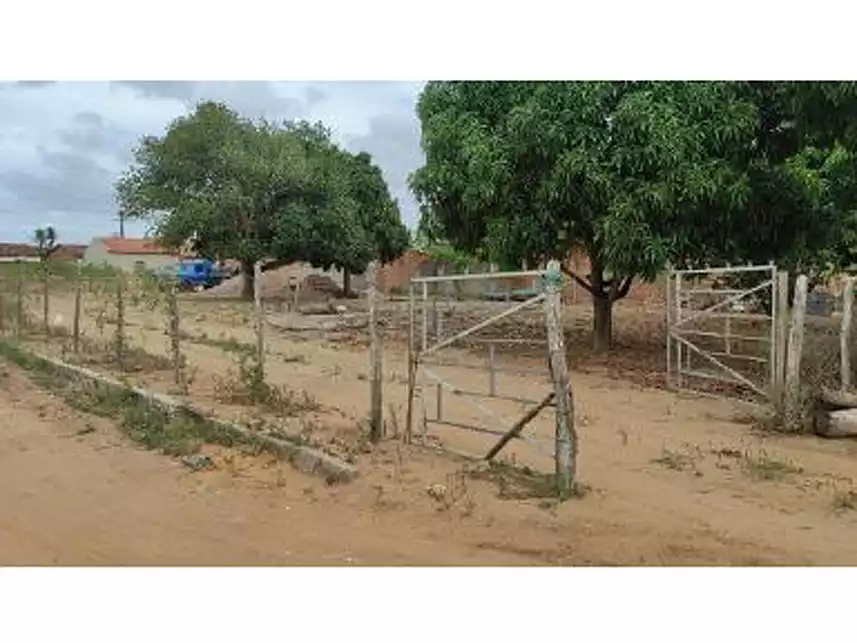 Imagem 7 do Leilão de Área Rural - Povoado Capim - Arapiraca/AL