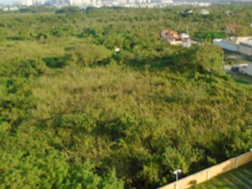 Imagem 1 do Leilão de Terreno - Recreio dos Bandeirantes - Rio de Janeiro/RJ