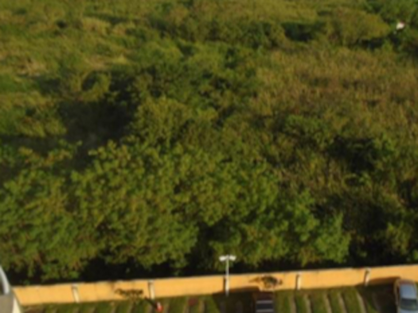 Imagem 4 do Leilão de Terreno - Recreio dos Bandeirantes - Rio de Janeiro/RJ