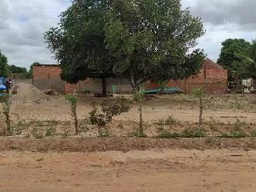 Imagem 3 do Leilão de Área Rural - Povoado Capim - Arapiraca/AL