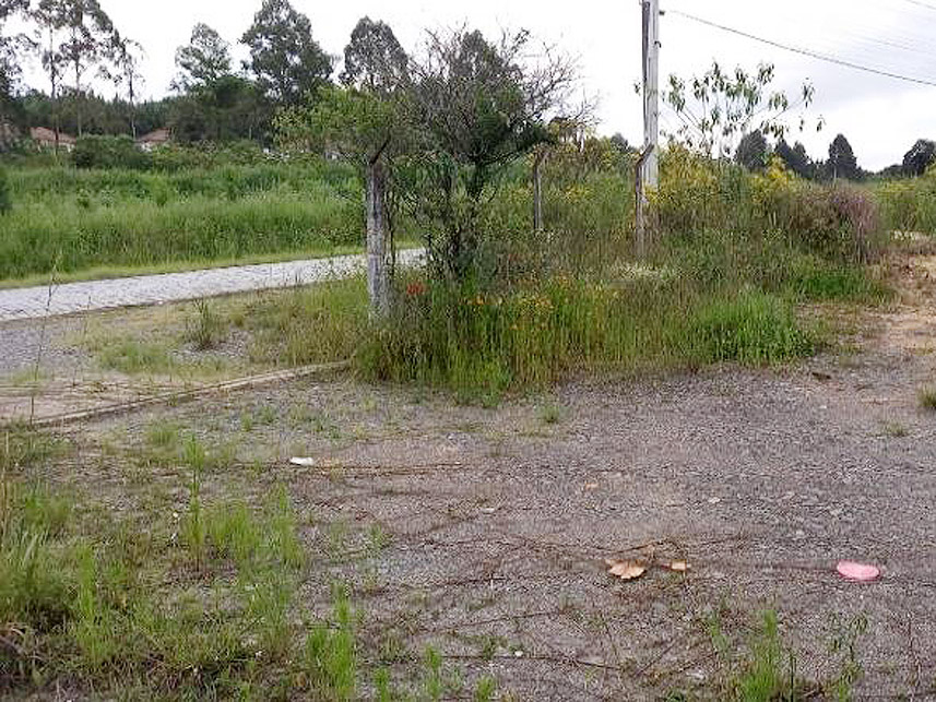 Imagem 6 do Leilão de Terreno - Lucena - Itaiópolis/SC