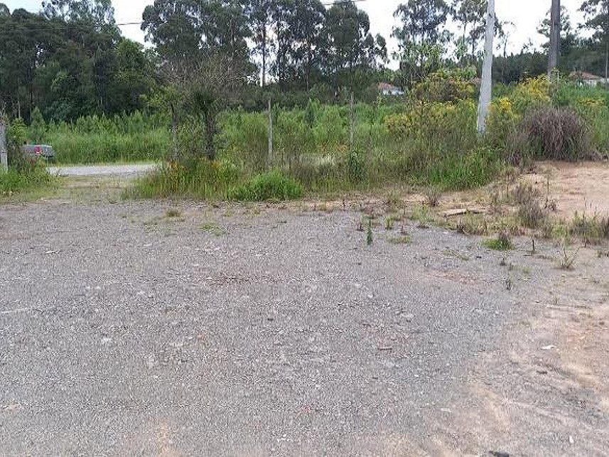 Imagem 4 do Leilão de Terreno - Lucena - Itaiópolis/SC