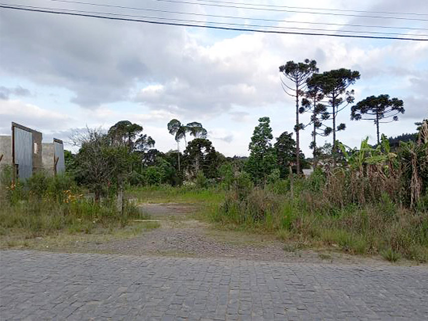 Imagem 1 do Leilão de Terreno - Lucena - Itaiópolis/SC