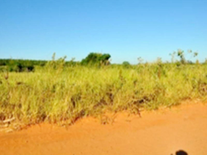 Imagem do Leilão de Terreno - Centro - Osvaldo Cruz/SP