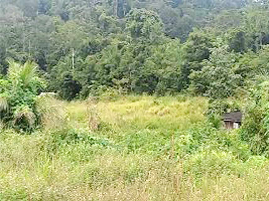 Imagem 7 do Leilão de Terreno - Bela Vista - Novo Progresso/PA