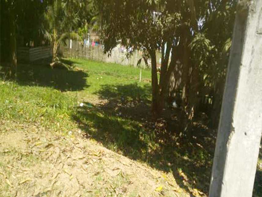 Imagem 3 do Leilão de Terreno - Centro - Ipixuna/AM