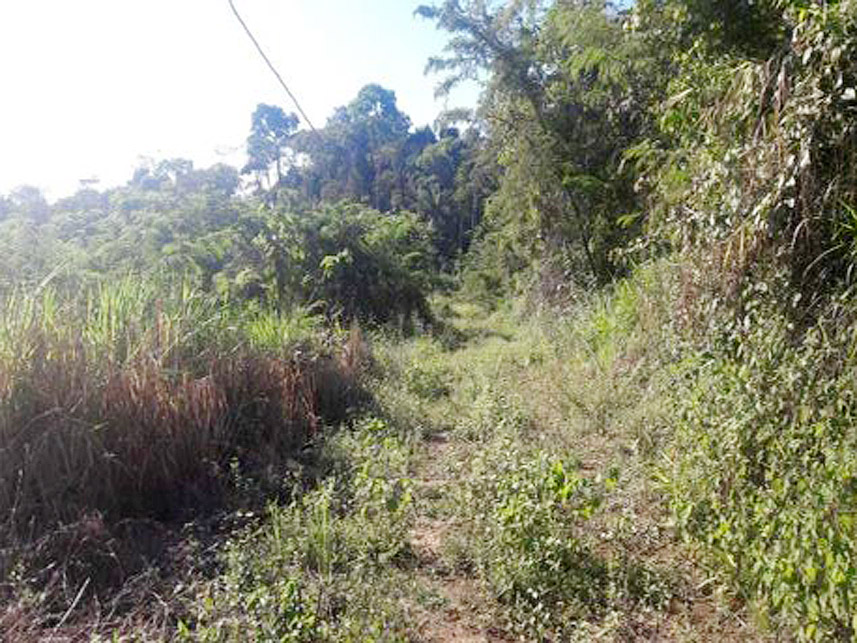 Imagem 2 do Leilão de Terreno - Bela Vista - Novo Progresso/PA