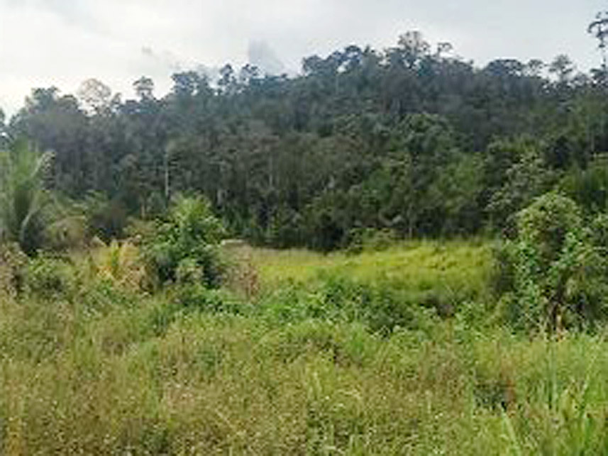 Imagem 5 do Leilão de Terreno - Bela Vista - Novo Progresso/PA