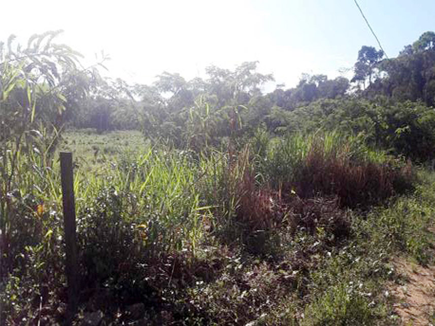 Imagem 6 do Leilão de Terreno - Bela Vista - Novo Progresso/PA