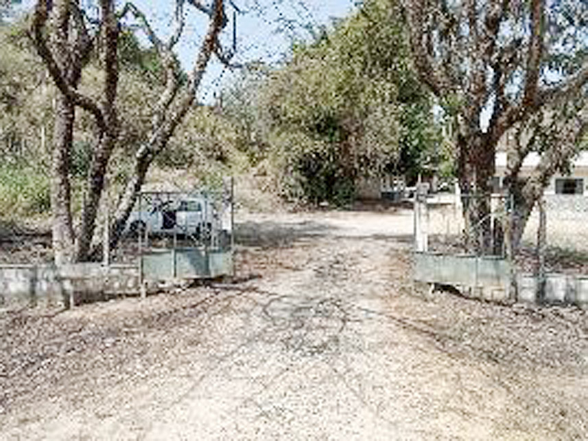 Imagem 3 do Leilão de Galpão Industrial - São Manoel - Bicas/MG