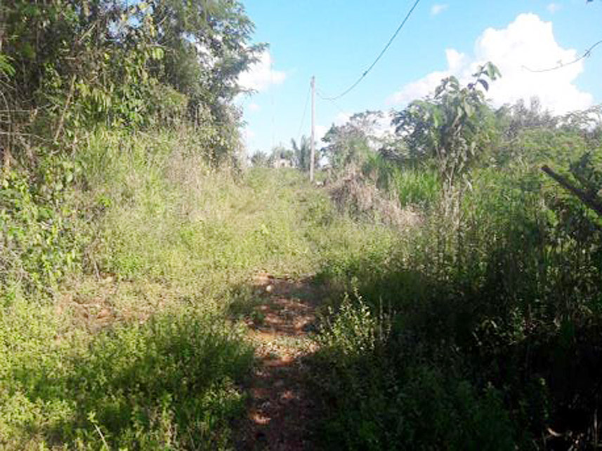 Imagem 3 do Leilão de Terreno - Bela Vista - Novo Progresso/PA