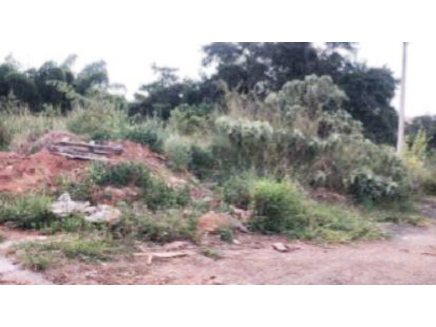 Imagem 2 do Leilão de Terreno - Setor Industrial - Pires do Rio/GO