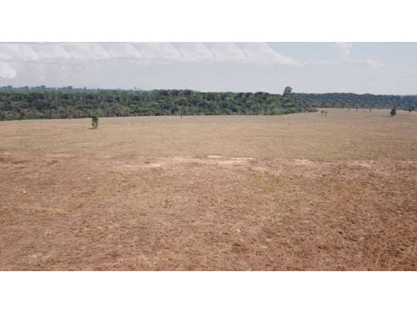 Imagem 6 do Leilão de Área Rural - Zona Rural - Machadinho D Oeste/RO