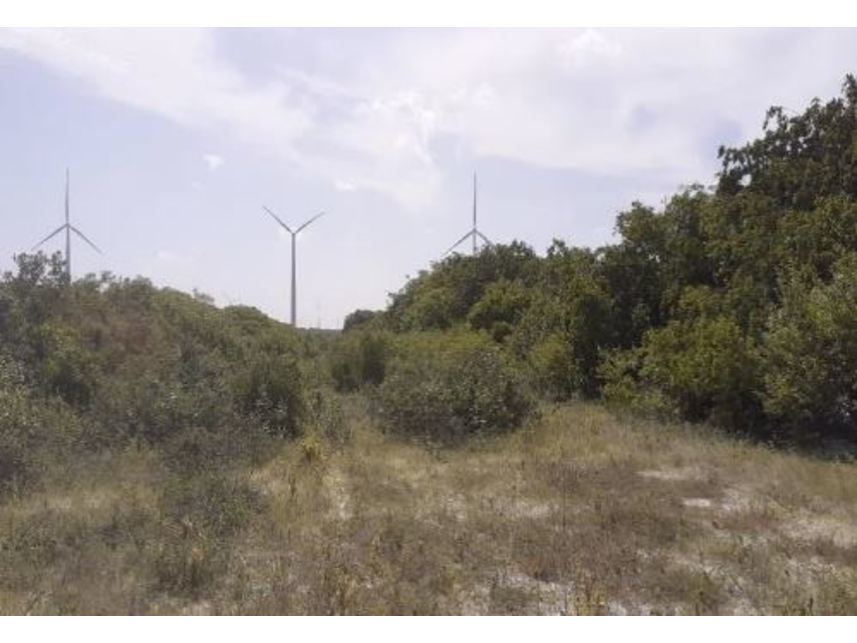 Imagem 9 do Leilão de Terreno - Bravim - Fortim/CE