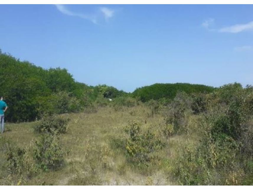Imagem 1 do Leilão de Terreno - Bravim - Fortim/CE