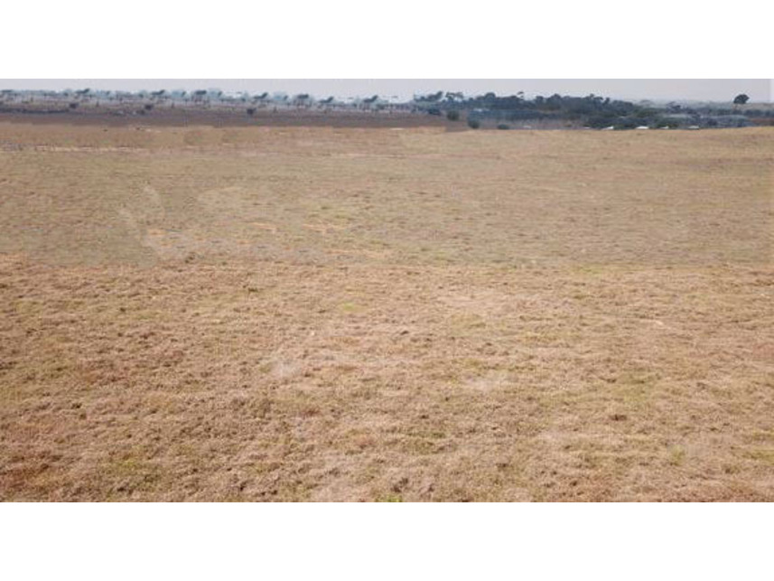 Imagem 5 do Leilão de Área Rural - Zona Rural - Machadinho D Oeste/RO