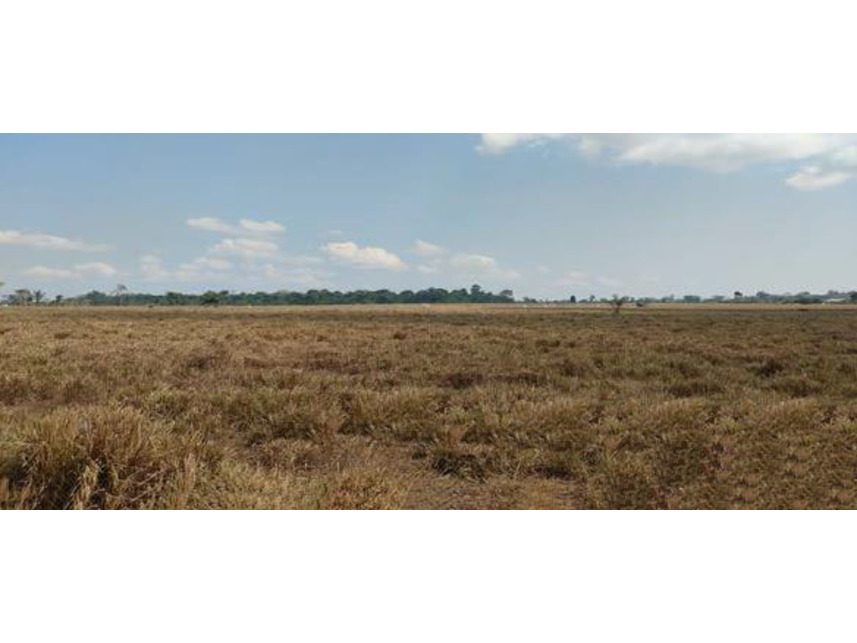 Imagem 7 do Leilão de Área Rural - Zona Rural - Machadinho D Oeste/RO