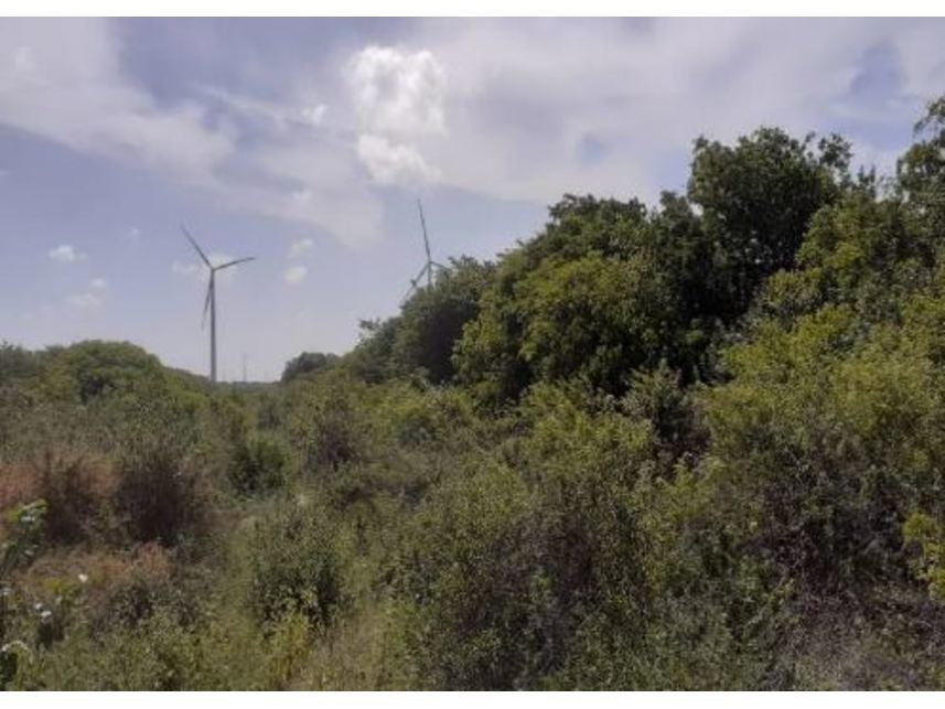 Imagem 4 do Leilão de Terreno - Bravim - Fortim/CE