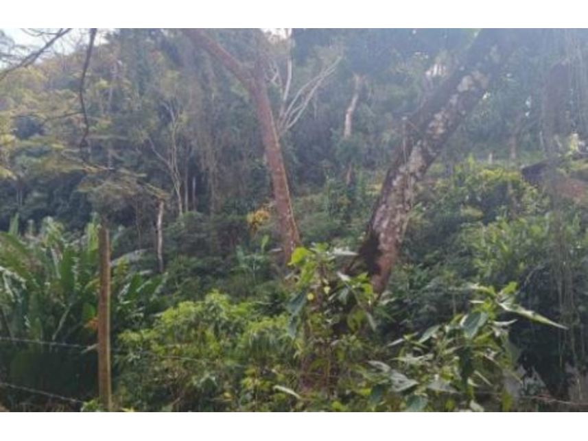 Imagem 4 do Leilão de Terreno - Rio do Ouro - São Gonçalo/RJ