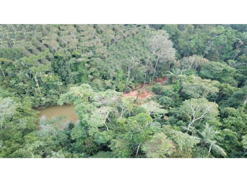 Imagem 8 do Leilão de Área Rural - Zona Rural - Machadinho D Oeste/RO
