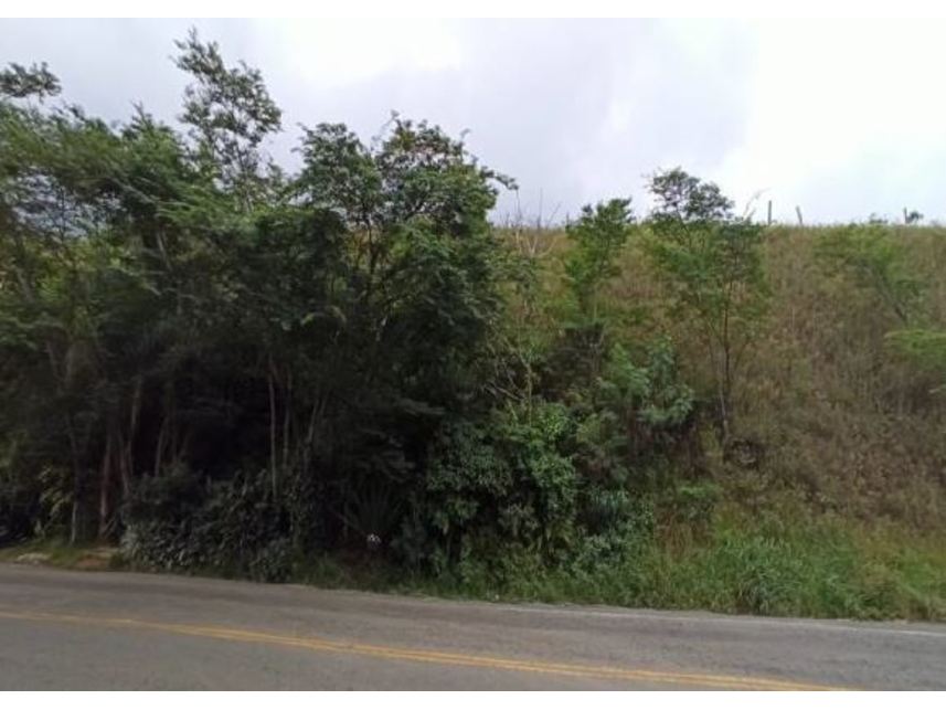 Imagem  do Leilão de Terreno - Santo Antonio Paraibuna - Juiz de Fora/MG