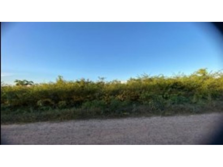 Imagem  do Leilão de Terreno - Parque Moisés Amorim - Chapadinha/MA