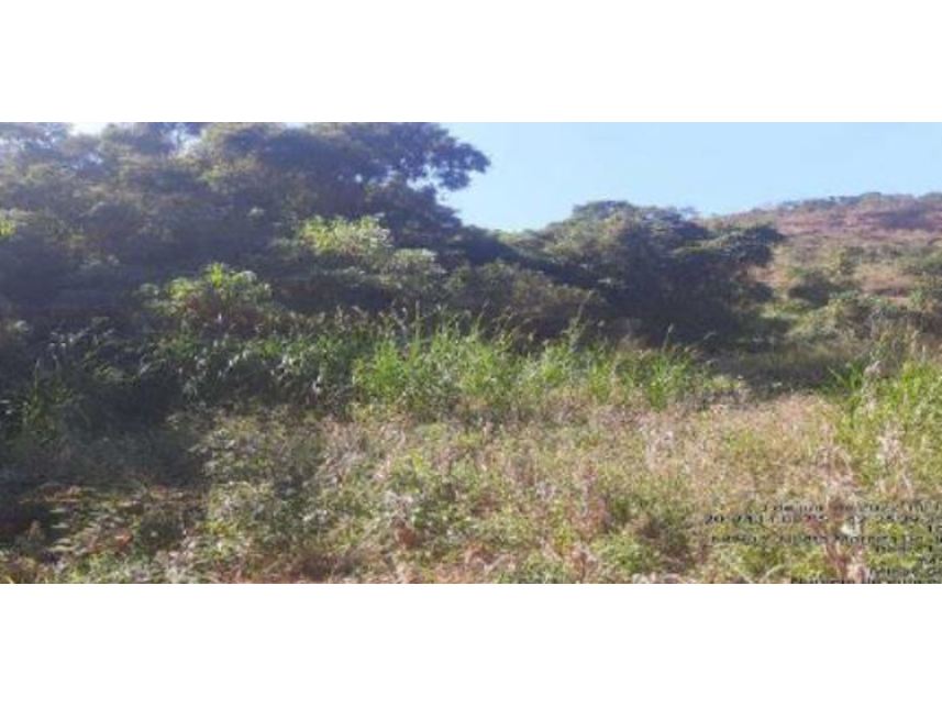Imagem 5 do Leilão de Área Rural - Zona Rural - Bom Sucesso/MG