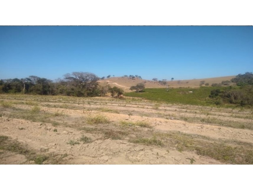 Imagem  do Leilão de Gleba de Terras - Zona Rural - Nepomuceno/MG