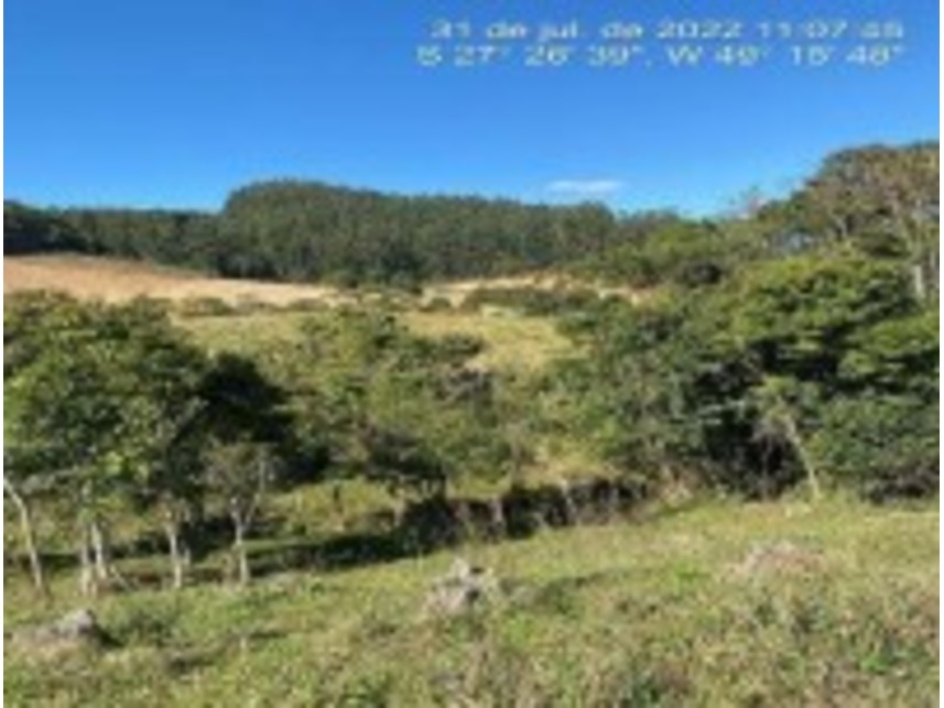 Imagem 5 do Leilão de Área Rural - Zona Rural - Leoberto Leal/SC